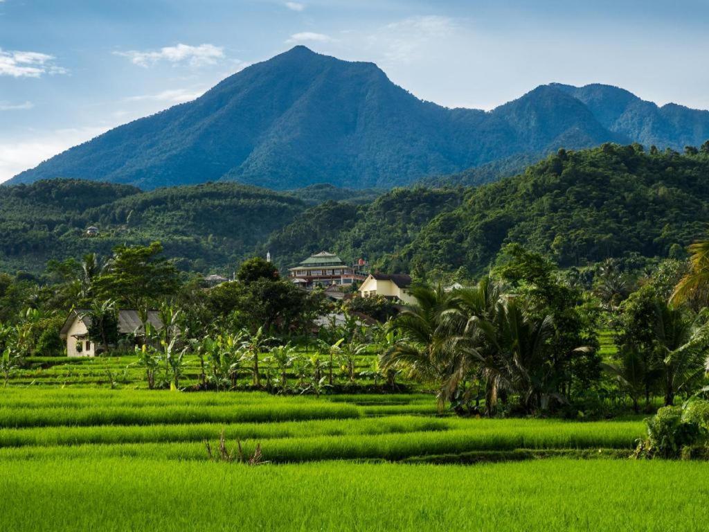 Bogor Valley Hotel Exterior photo